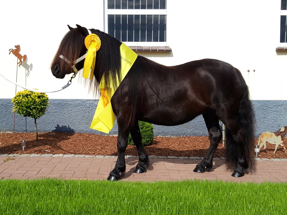 Giersbergs Jubilee
