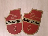 Elite