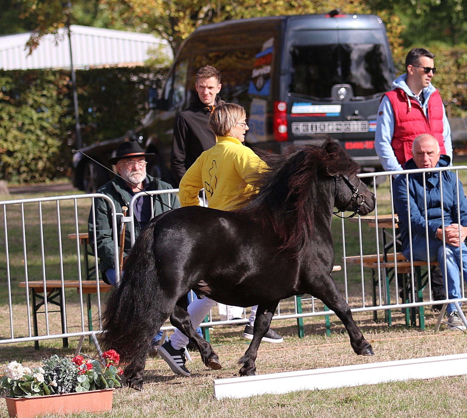 Yoda M2