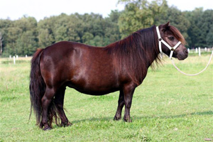 Glamour v. Bunswaard