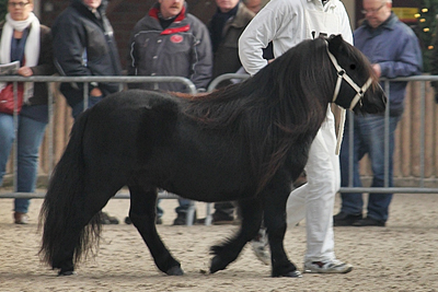 Baron